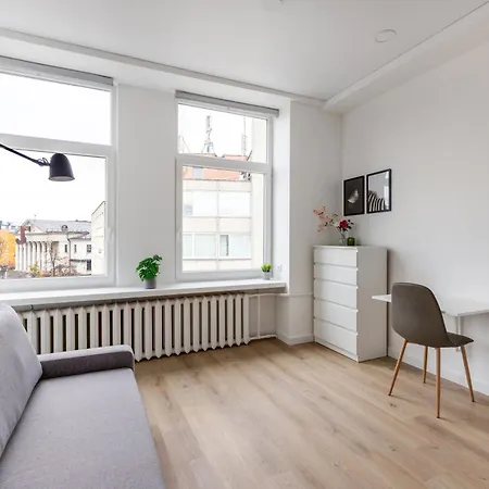 Hook Old Town Economy * Vilnius