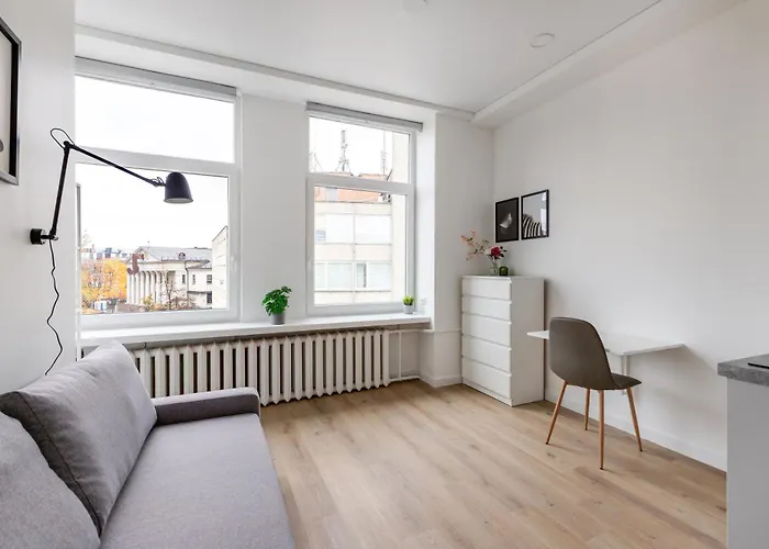 Hook Old Town Economy * 빌뉴스