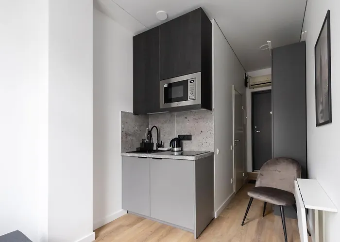 Hook Old Town Economy * 빌뉴스