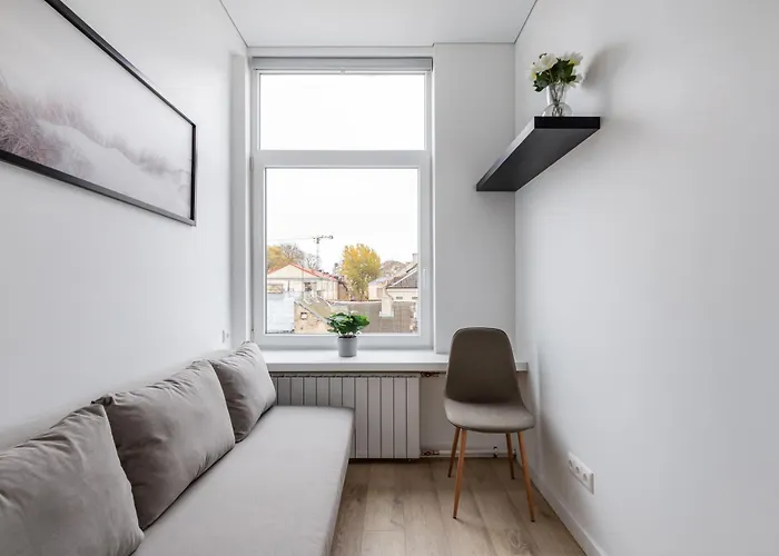 Hook Old Town Economy 빌뉴스