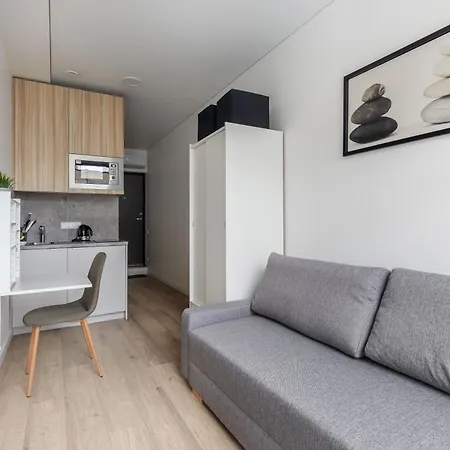 Hook Old Town Economy Apartment Wilna