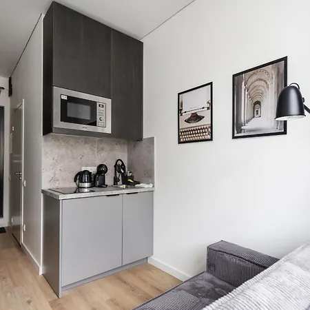 Hook Old Town Economy Apartment Wilna